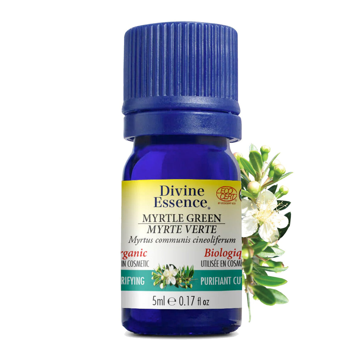 Myrte Verte (Cinéoliferum) Biologique
