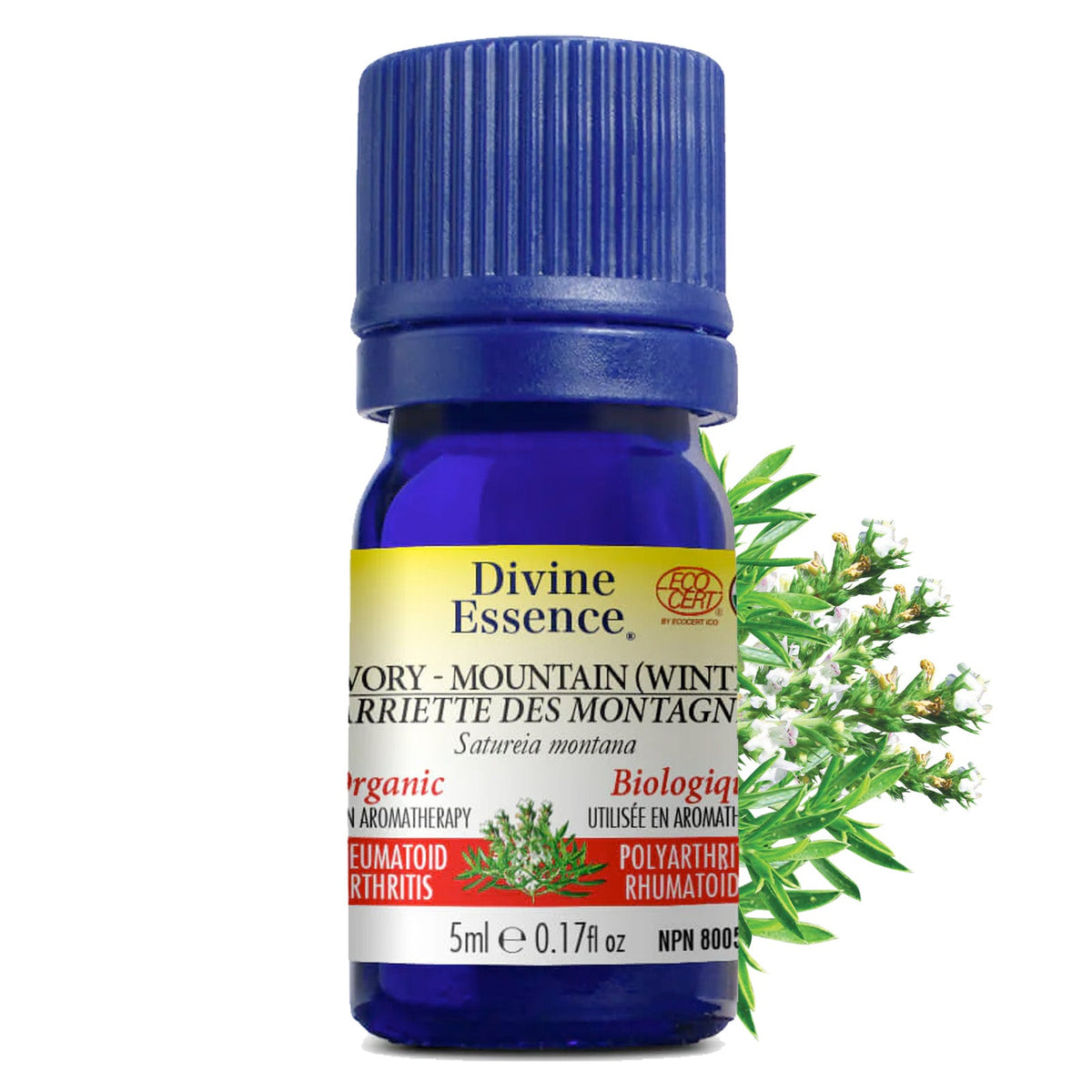 Sarriette des Montagnes Biologique