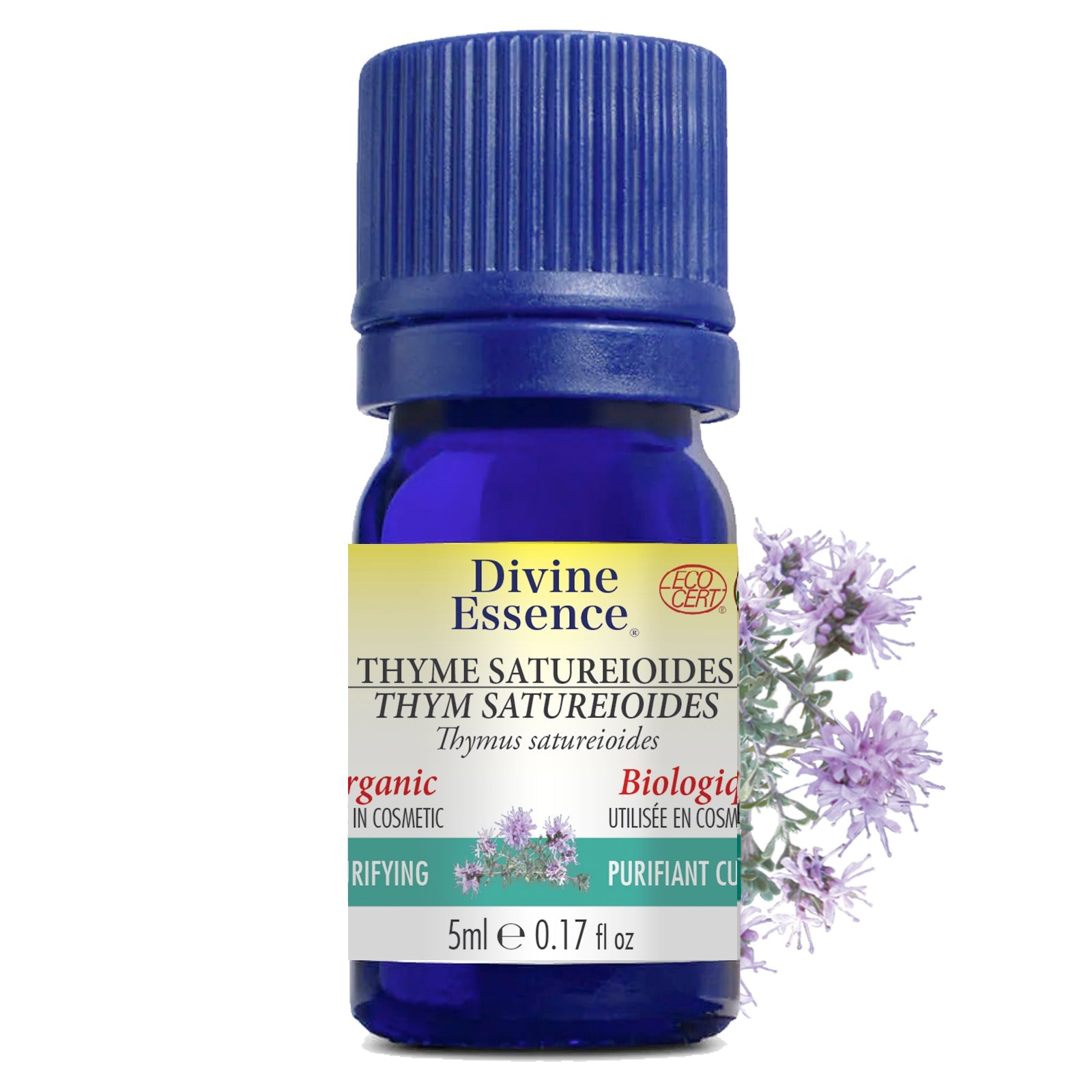 Thym Satureioides Biologique
