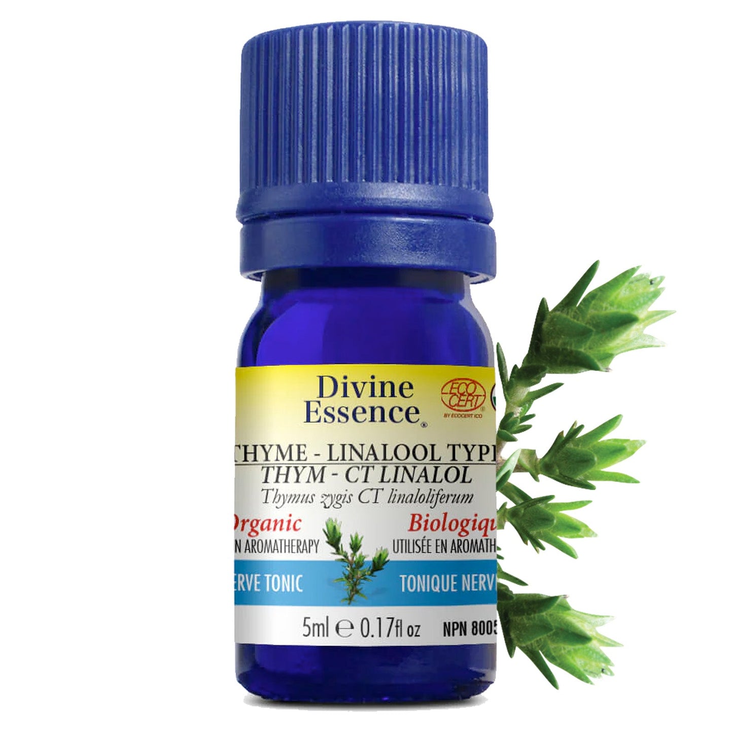Thym Linalol Biologique