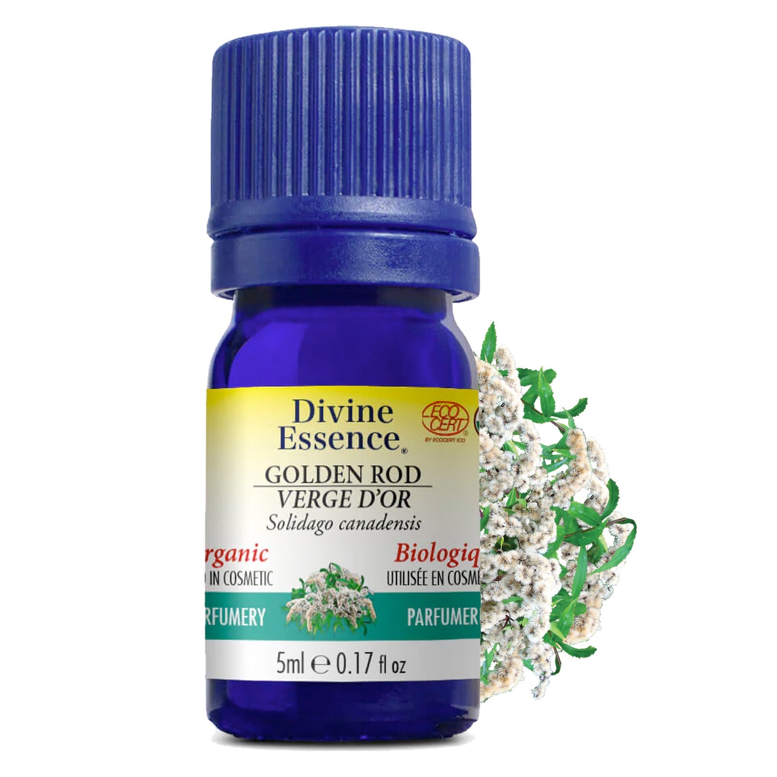 Verge d'Or Biologique