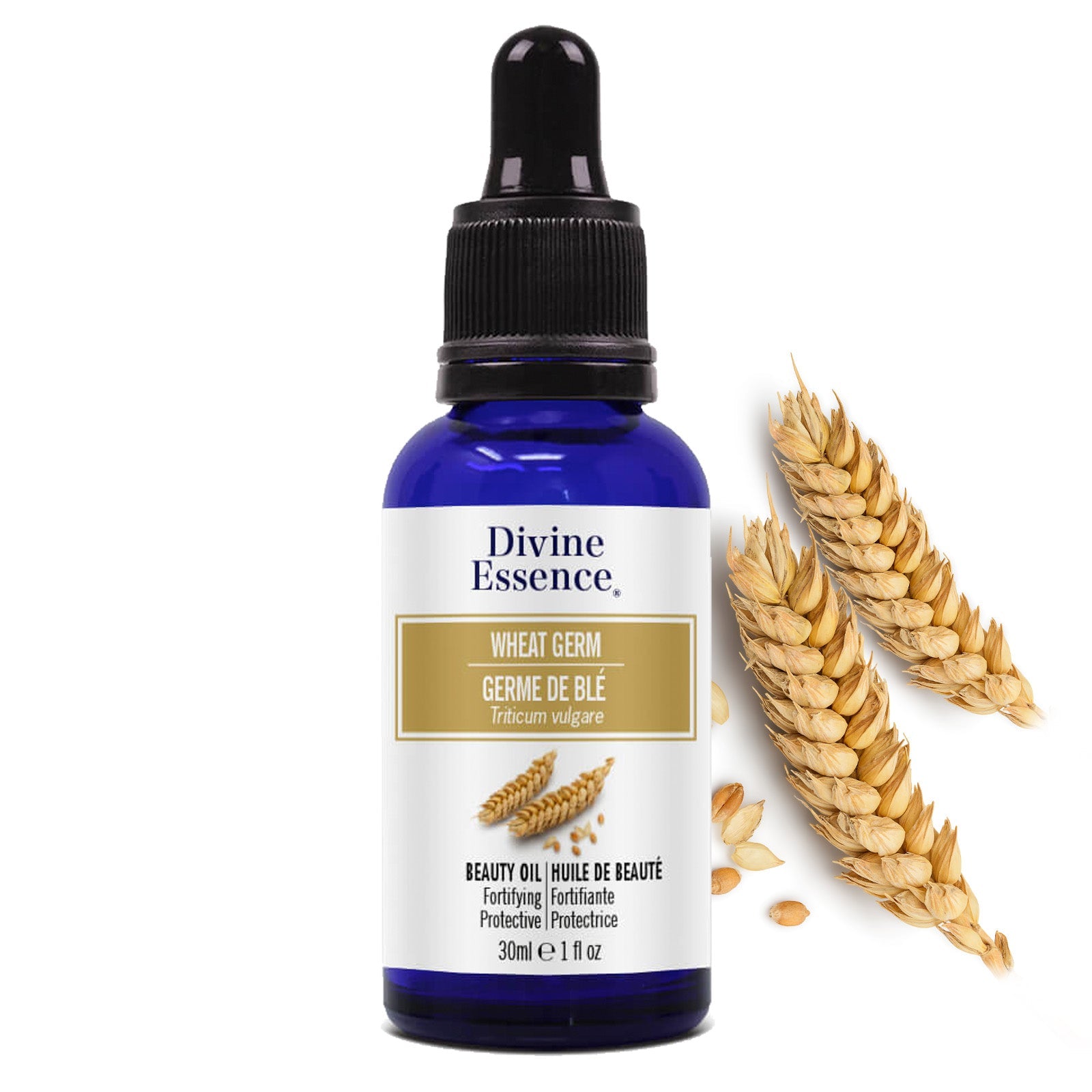 Germe de blé