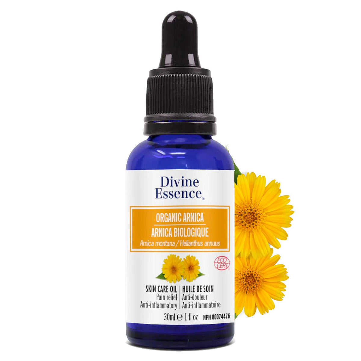 Arnica Extrait Biologique — Divine Essence
