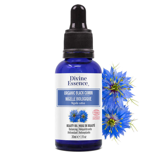 Nigelle (Cumin noir) Biologique
