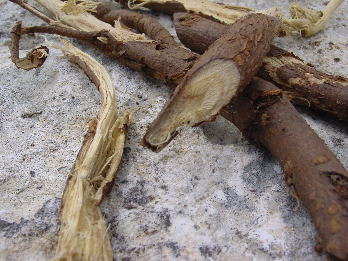 Réglisse (Glycyrrhiza glabra) séchée en vrac