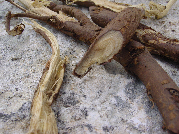 Réglisse (Glycyrrhiza glabra) séchée en vrac