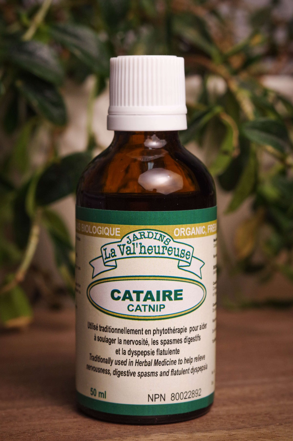 Cataire — Jardins La Val'heureuse