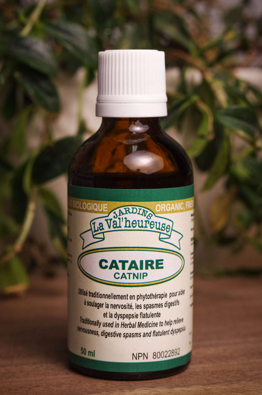 Cataire — Jardins La Val'heureuse