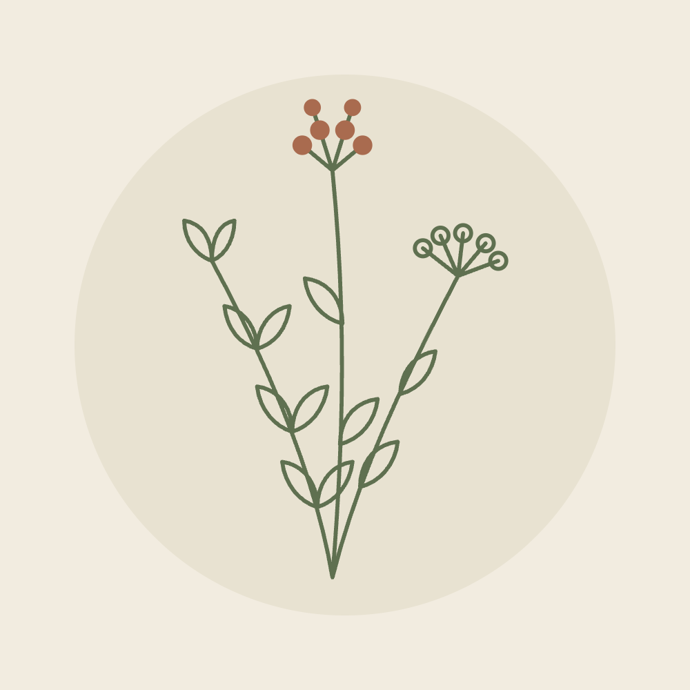 Illustration de plantes — atelier La rentrée au naturel
