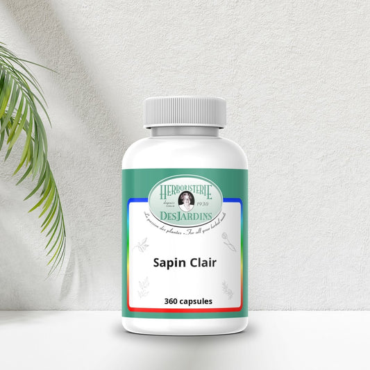 Sapin Clair, pot de 360 capsules — Herboristerie Desjardins