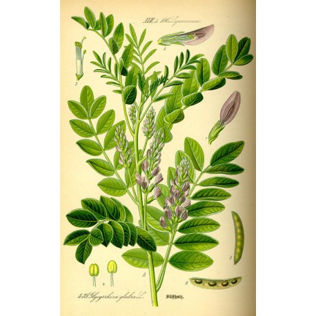 Licorice 250 gr