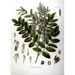 Licorice Powder 1 kg