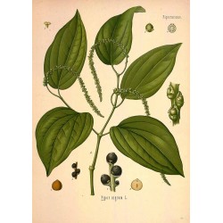 Poivre Noir Moulu 500 gr