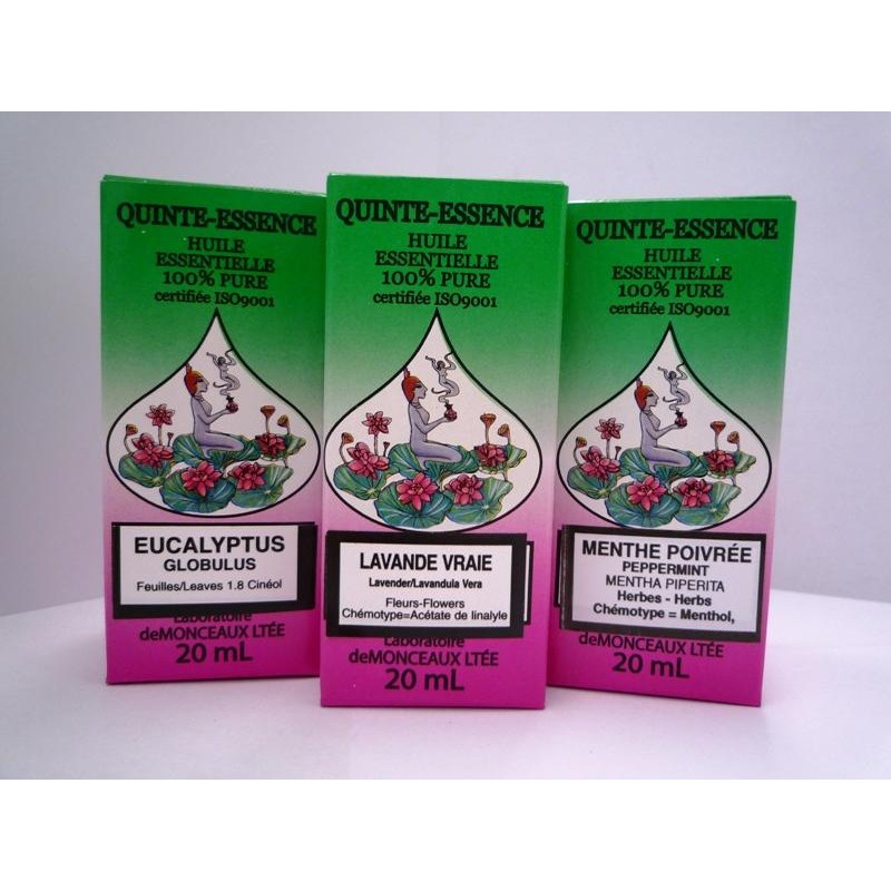 Camphre 20 mL Herboristerie Desjardins