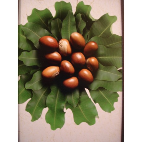 Beurre de karite Bio & Equitable 100 gr Beurre de karite Bio & Equitable 100 gr