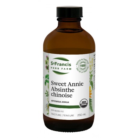 Tincture sweet annie (Artemisia annua)  250 mL