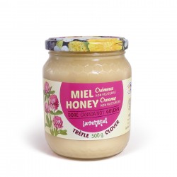 Creamy Clover Honey - Non pasteurized - 500g