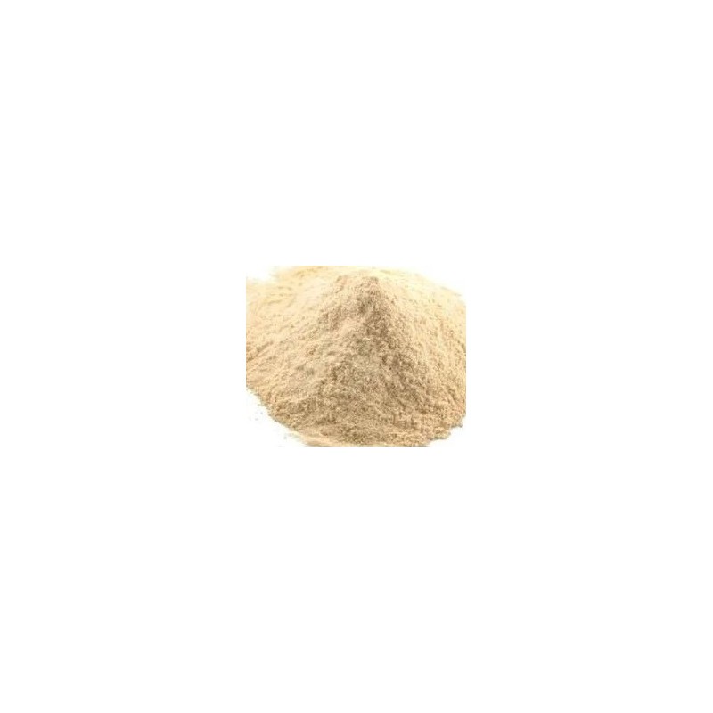 Onion Powder 100g