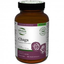 Champignon Chaga