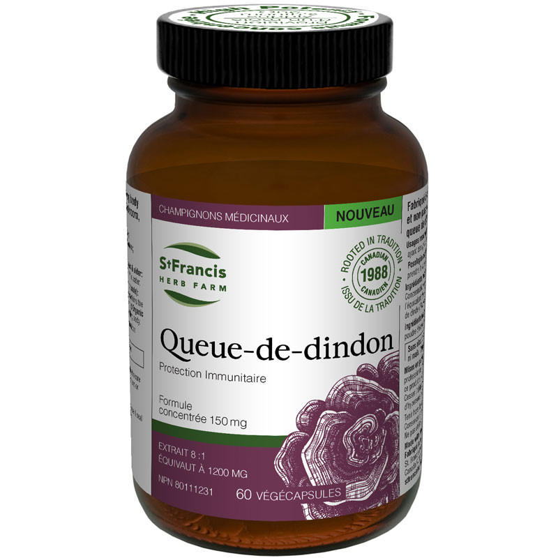 Champignon Queu-de-dindon Champignon Queu-de-dindon