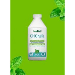 Rince-bouche menthe 350ml