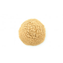 Psyllium poudre 250g