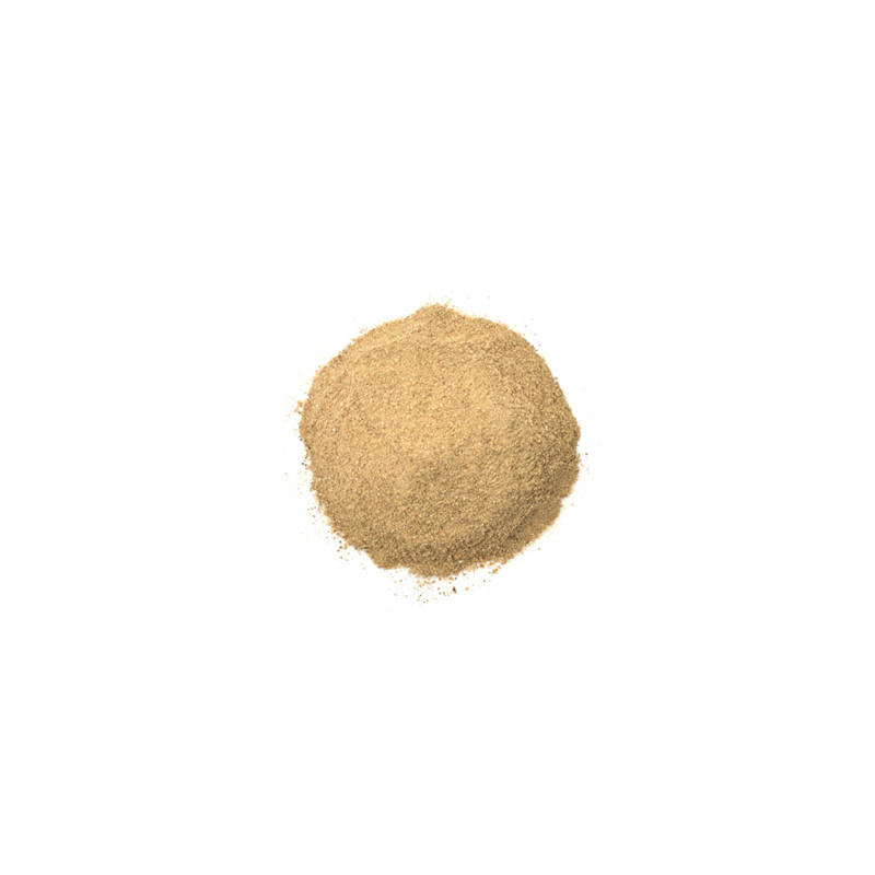Organic Aloe Vera (powder)