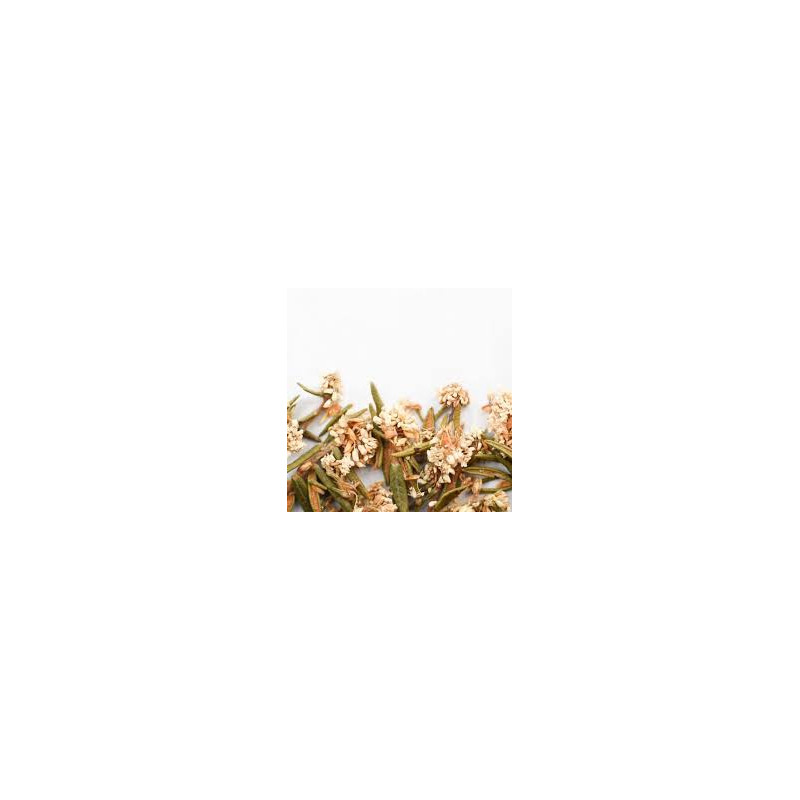 Thé du Labrador (fleur) 100g