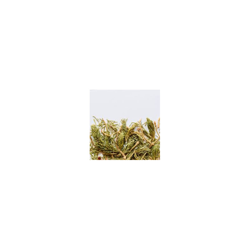 Épinette noire 100g