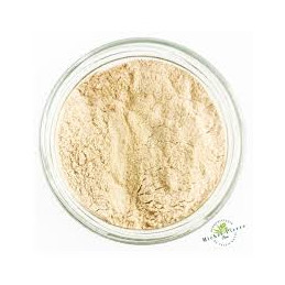 Astragale (poudre) 20:1 100g