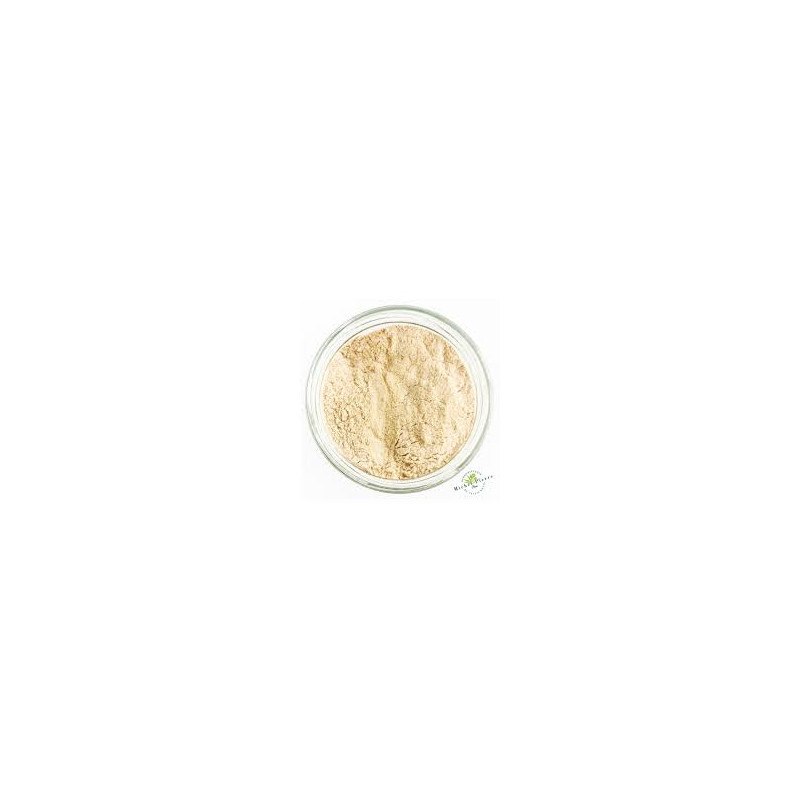 Astragale (poudre) 20:1 100g