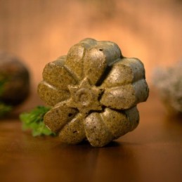 Savon Forestier 100g
