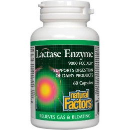 Enzyme Lactase