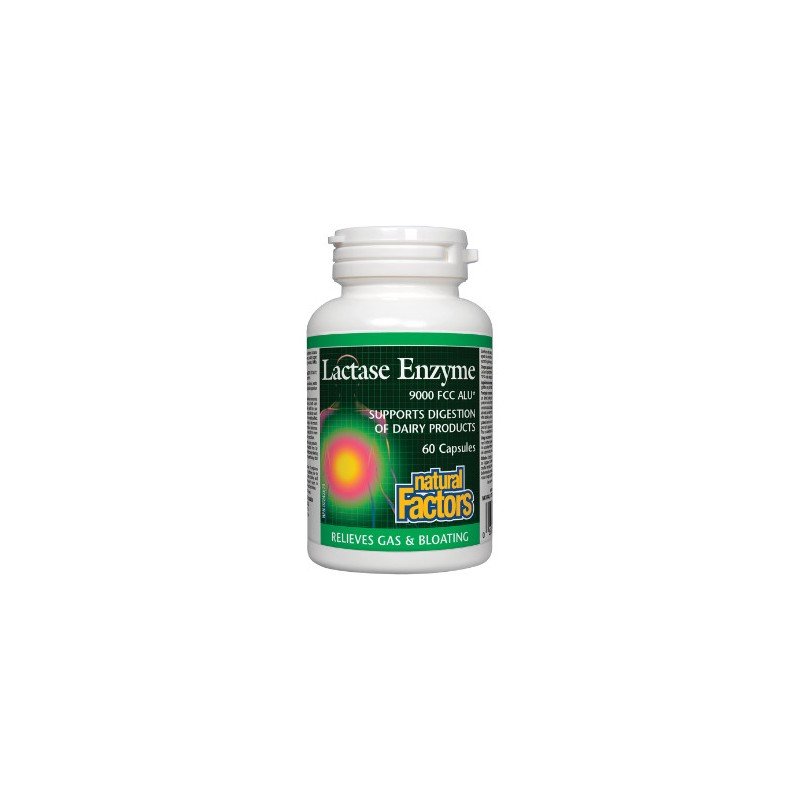 Enzyme Lactase Enzyme Lactase