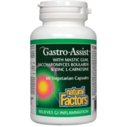 Gastro-Assist