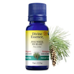 Pin blanc biologique- 15ml