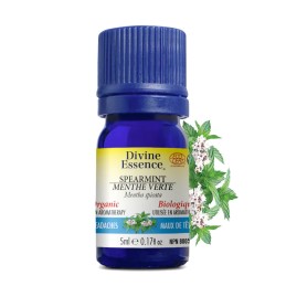 Menthe Verte Biologique