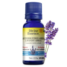 Lavandin Abrial Biologique- 15 ml