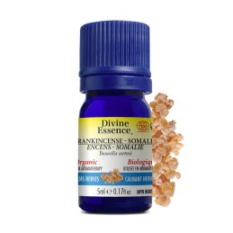 Encens - Somalie (Boswellia carterii) Biologique- 5ml