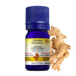 Gingembre Biologique- 5ml
