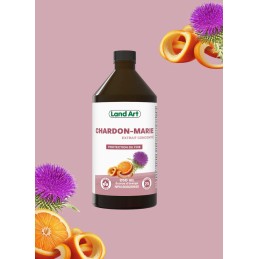Chardon-Marie | Extrait botanique liquide | Écorce d'orange