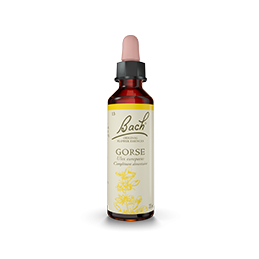 Fleurs de Bach-Ajonc 20ml