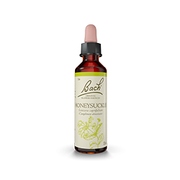 Fleurs de Bach-Chèvrefeuille 20ml