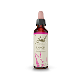 Fleurs de Bach-Mélèze 20ml