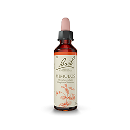 Fleurs de Bach-Minule 20ml