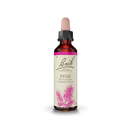 Fleurs de Bach-Pin Sylvestre 20ml