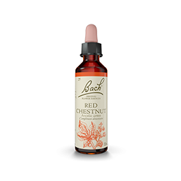 Fleurs de Bach-Marronnier rouge 20ml