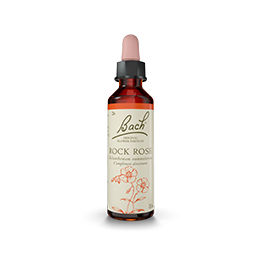 Fleurs de Bach-Hélianthème 20ml