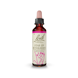 Fleurs de Bach-Étoile de Bethlehem 20ml