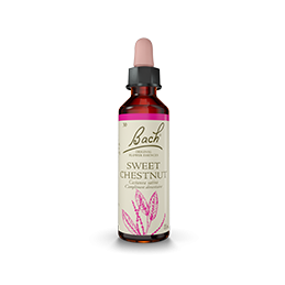 Fleurs de Bach-Châtaignier 20ml